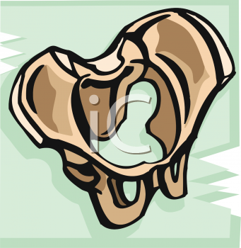 School Clipart