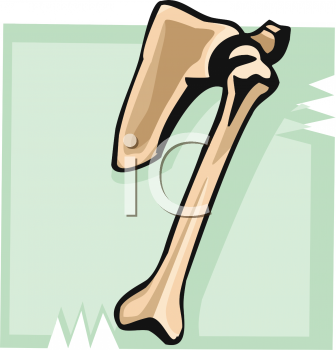 School Clipart
