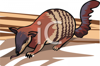 Mammal Clipart