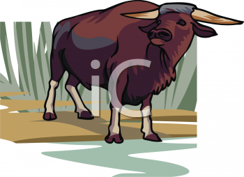 Farm Animal Clipart