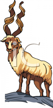 Farm Animal Clipart