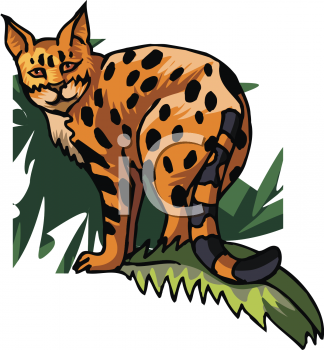 Pet Clipart