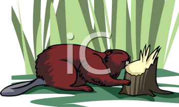 Rodent Clipart