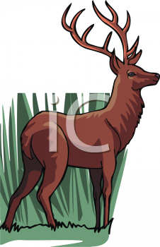 Deer Clipart