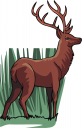 Deer Clipart