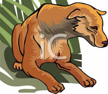 Dog Clipart