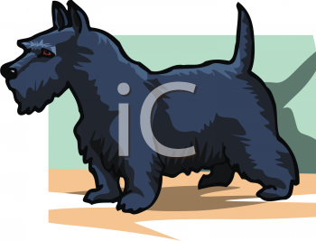 Pet Clipart
