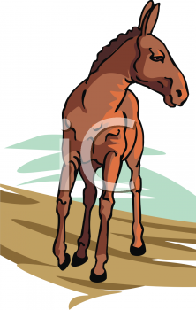 Farm Animal Clipart