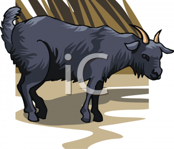 Farm Animal Clipart