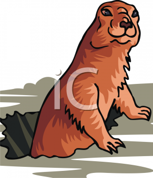 Pet Clipart