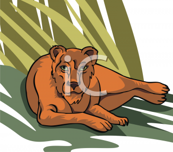 Pet Clipart