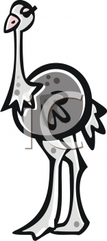 Bird Clipart