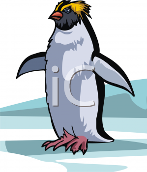 Bird Clipart