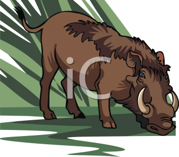 Mammal Clipart