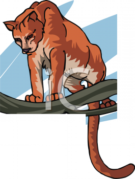 Pet Clipart