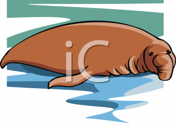 Fish and Sea Life Clipart