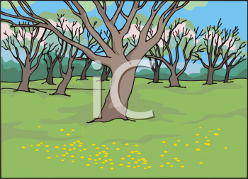 Grass and Tree Clipart