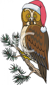 Bird Clipart
