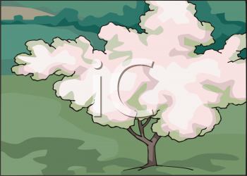 Nature and Scenic Clipart