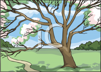 Nature and Scenic Clipart