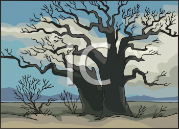 Nature and Scenic Clipart