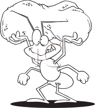 Insect Clipart