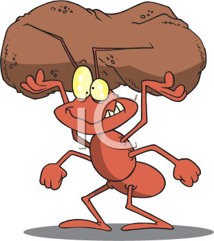 Insect Clipart