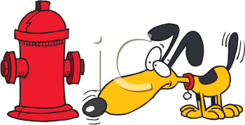 Pet Clipart
