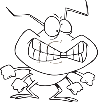 Insect Clipart