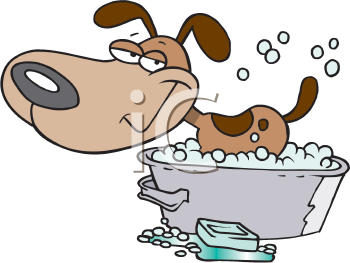 Pet Clipart