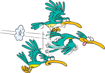 Insect Clipart