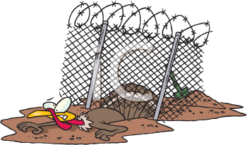 Bird Clipart