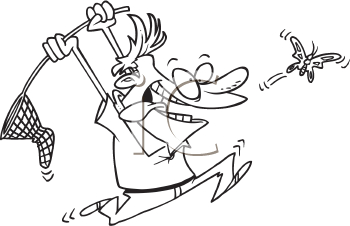 Insect Clipart