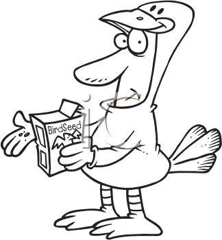 Bird Clipart