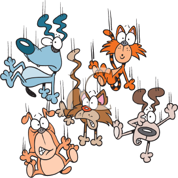 Pet Clipart
