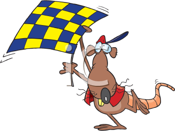 Rodent Clipart