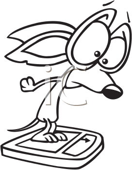 Pet Clipart