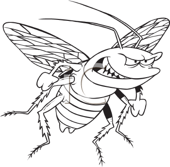 Insect Clipart