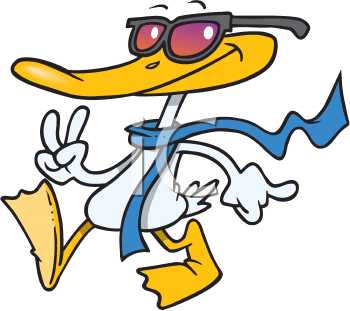Bird Clipart