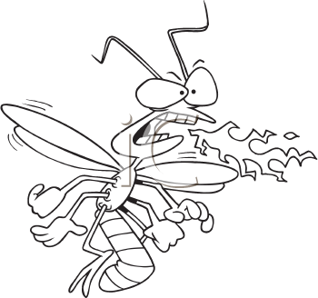 Insect Clipart
