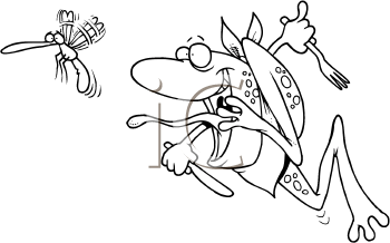 Insect Clipart