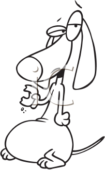 Pet Clipart