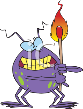 Insect Clipart