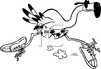 Bird Clipart