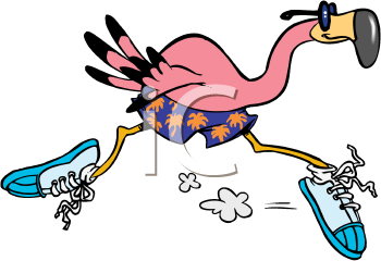 Bird Clipart