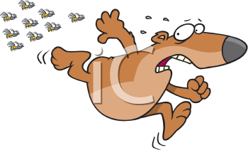 Insect Clipart