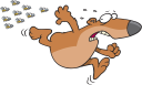 Insect Clipart
