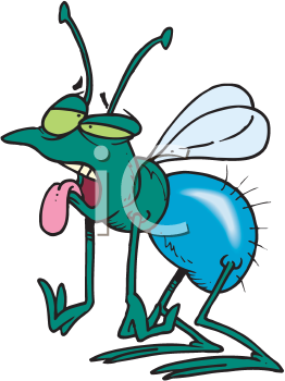 Insect Clipart