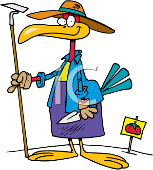 Bird Clipart