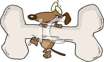Pet Clipart